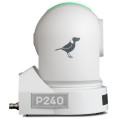 P240 PTZ Full NDI, HDMI/3G-SDI 40X  BirdDog