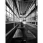 14 mm F4 FF RL Zero-D monture E