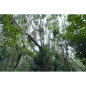 15 mm F1.4, 22.5mm APS-C monture E 15 mm F1.4, 22.5mm APS-C monture E