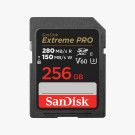 SDSDXEP-256G-GN4IN SanDisk