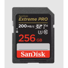 SDSDXXD-256G-GN4IN SanDisk
