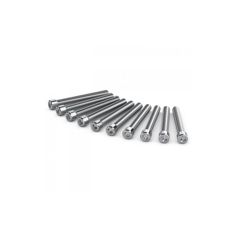 BMUMCAPRO/MSCRPL - Kit 6 screws for adapter PL on URSA Mini Pro BMUMCAPRO/MSCRPL - Kit 6 screws for adapter PL on URSA Mini Pro