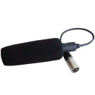 Microphone mono for camcorder