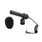 Stereo Microphone for Consumer Camcorders, DSLRs