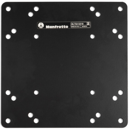 MLTSA1201B - TetherGear VESA Adapter Plate