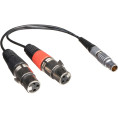 XLR Breakout Cable imput Atomos
