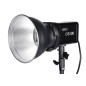 100W Daylight Point Source LED