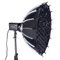 100W Daylight Point Source LED