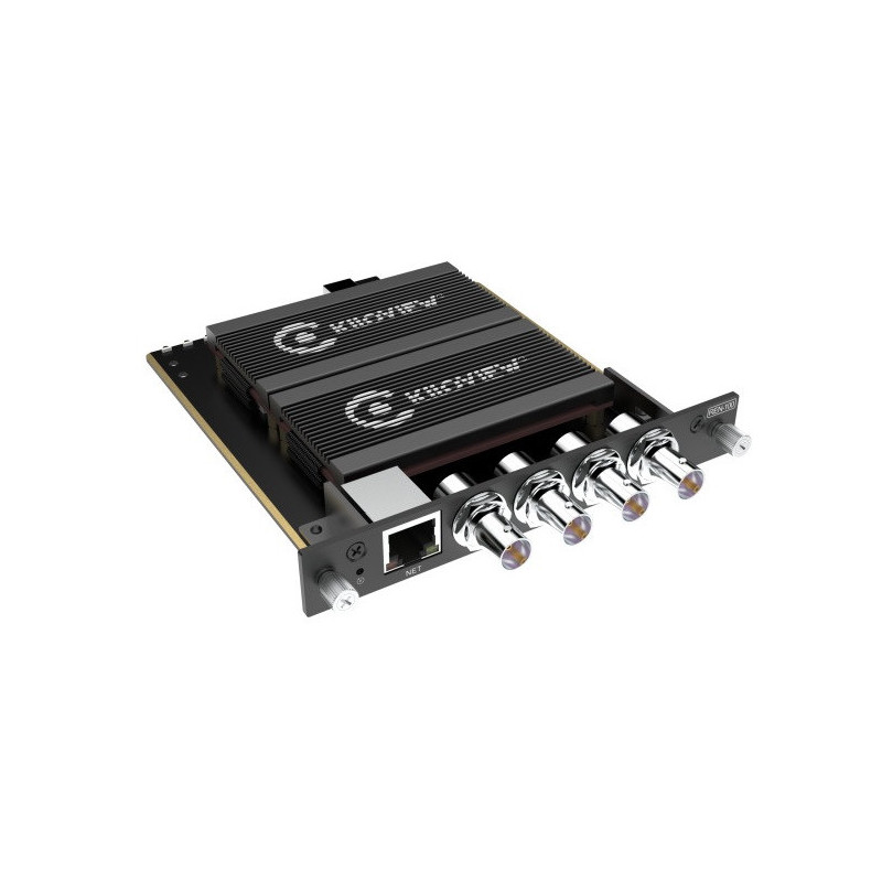 REN-100 Carte double entrée SDI