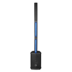 IS-48 Systeme de divertissement actif 100W 8  + 4 x 2,5 WHARFEDALE PRO