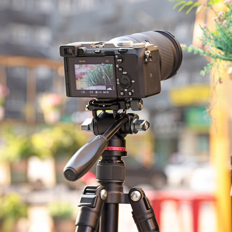 VL190 Tete video fluide base Plaque
