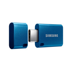 Samsung USB 3.1 Flash Drive Type-C 256GB Samsung USB 3.1 Samsung