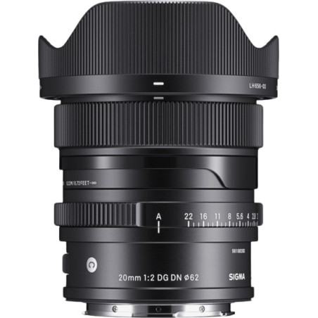 20 mm F2 DG DN Contemporary Monture L