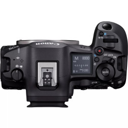 EOS-R5 MKII + RF24-105 F4L IS US Canon