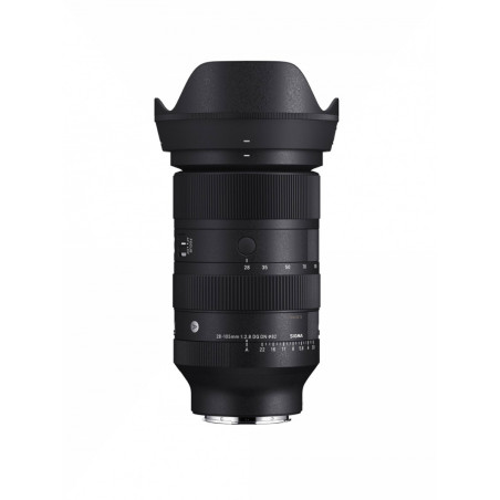 28-105 mm F2,8 DG DN monture L ART