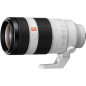 100-400 mm F4,5-5,6 GM OSS monture E 100-400 mm F4,5-5,6 GM OSS monture E