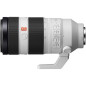 100-400 mm F4,5-5,6 GM OSS monture E 100-400 mm F4,5-5,6 GM OSS monture E