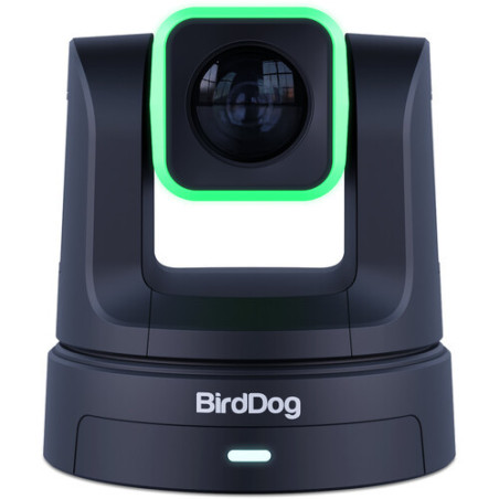 X5 Ultra Black PTZ 4K zoom x20 BirdDog
