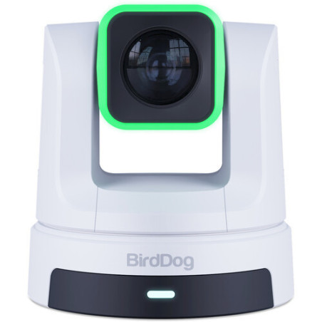 X5 Ultra White PTZ 4K zoom X20 BirdDog