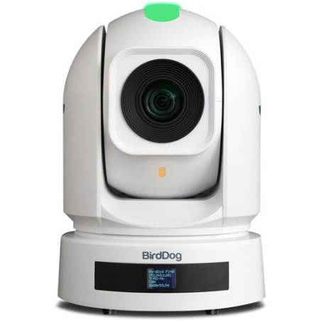 P240 Full NDI PTZ Camera with HDMI/3G-SDI 40X White
