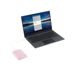 6,4cm(2,5") 2TB One Touch HDD USB3.2 with Password Protection rose gold