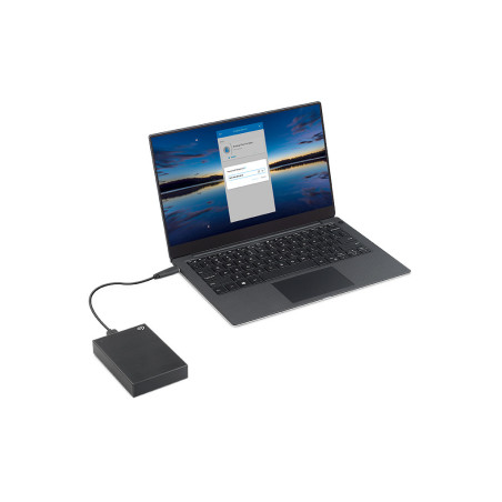 6,4cm(2,5") 4TB One Touch HDD USB3.2 with Password Protection black