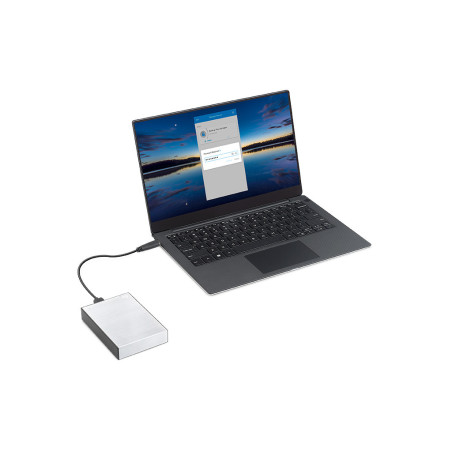 6,4cm(2,5") 4TB One Touch HDD USB3.2 with Password Protection silver