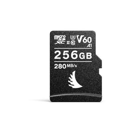 AV PRO microSD 256Go V60