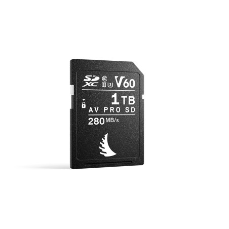 SD Card AV PRO UHS-II 1To V60