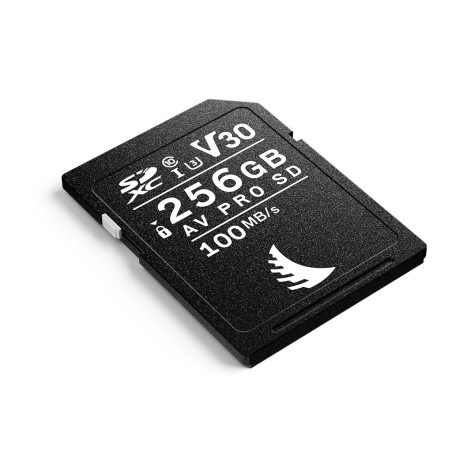 SD Card AV PRO 256GB V30