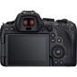EOS-R6 MKII + RF24-105 F4-7,1 IS STM EOS-R6 MKII + RF24-105 F4-7,1 IS STM