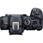 EOS-R6 MKII + RF24-105 F4-7,1 IS STM EOS-R6 MKII + RF24-105 F4-7,1 IS STM
