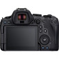 EOS-R6 MKII + RF24-105 F4 L IS USM Canon