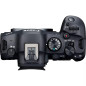 EOS-R6 MKII + RF24-105 F4 L IS USM Canon