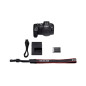 EOS-R8 + RF24-50 F4.5-6.3 IS STM Canon EOS-R8 + RF24-50 F4.5-6.3 IS STM Canon