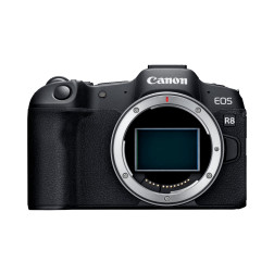 EOS-R8 et RF24-50 F4.5-6.3 IS STM Canon