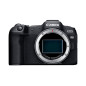 EOS-R8 + RF24-50 F4.5-6.3 IS STM Canon EOS-R8 + RF24-50 F4.5-6.3 IS STM Canon