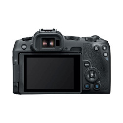 EOS-R8 et RF24-50 F4.5-6.3 IS STM Canon