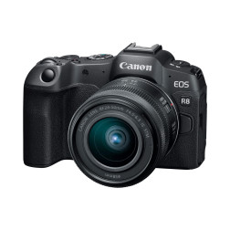 EOS-R8 et RF24-50 F4.5-6.3 IS STM Canon