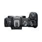 EOS-R8 + RF24-50 F4.5-6.3 IS STM Canon EOS-R8 + RF24-50 F4.5-6.3 IS STM Canon