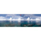 Filtre CPL pour DJI Action 2