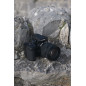 28-200mm F4-7.1 monture L