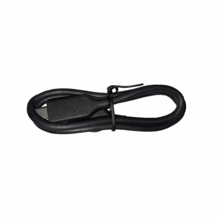 Câble de recharge USB Type-C pour DJI Mic Mini (50 cm) DJI