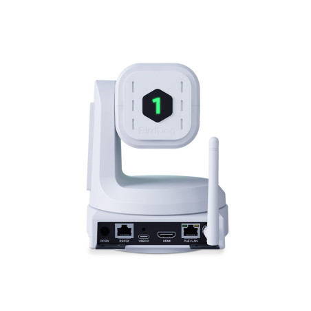 X1 White