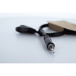EY0.3WYY Mini-Jack 3.5 stereo male 2 mini jack 3.5 femelle 0.3m
