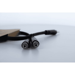 EY0.3WYY Mini-Jack 3.5 stereo male 2 mini jack 3.5 femelle 0.3m