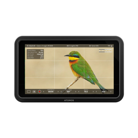 Shinobi II 5-inch 1500nit HDMI monitor, 4K DCI + UHD up