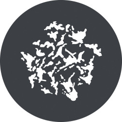 GP-GS1 GOBO Set for MG1200Bi Godox