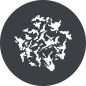GP-GS1 GOBO Set for MG1200Bi GP-GS1 GOBO Set for MG1200Bi