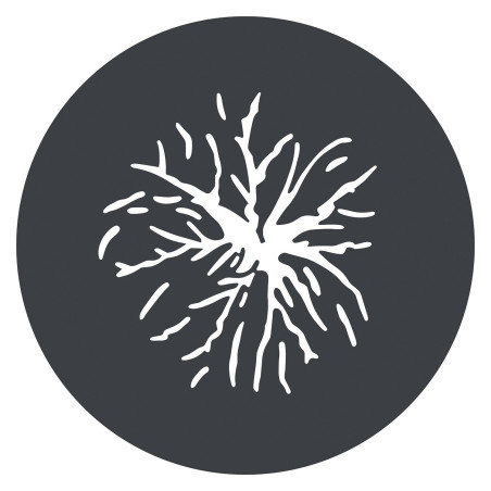GP-GS2 GOBO Set for MG1200Bi